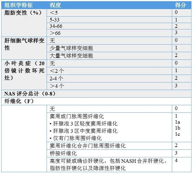 減肥手術有什么危害_手術減肥_減肥手術哪種方式最好
