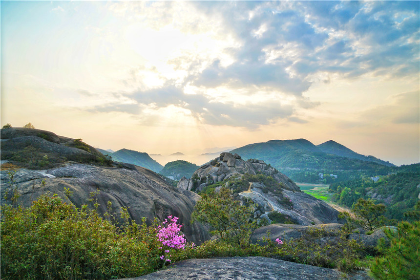 浙江温州藏着一个小众旅游景点,春天漫山遍野杜鹃花开,美如仙境