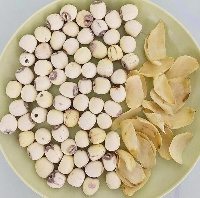 睡不着失眠怎么快速入睡莲子和它是绝配一觉到天亮