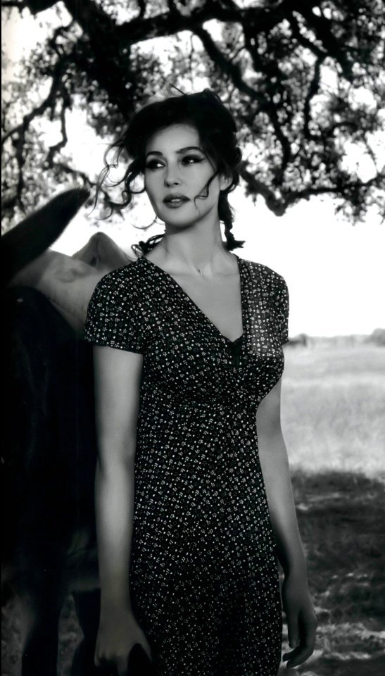 这样的美往往就只是用来欣赏的莫妮卡的美永远都充满着一种不确定性她