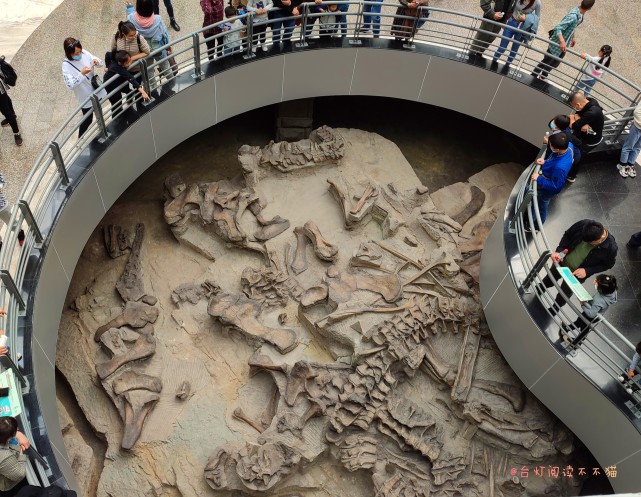 我国唯一一座恐龙挖掘遗址博物馆亲子游必选之地