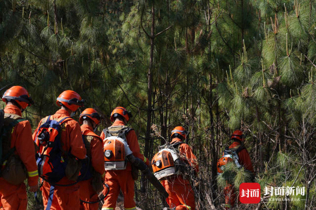 圖集|森林消防員們的背影|消防員|程雪力|四川|楊軍輝