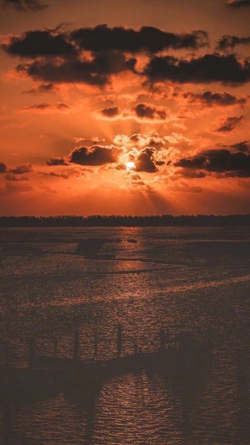 优质壁纸精选壁纸混搭风格没有恋爱照样有失恋的感觉 而且很强烈 腾讯新闻