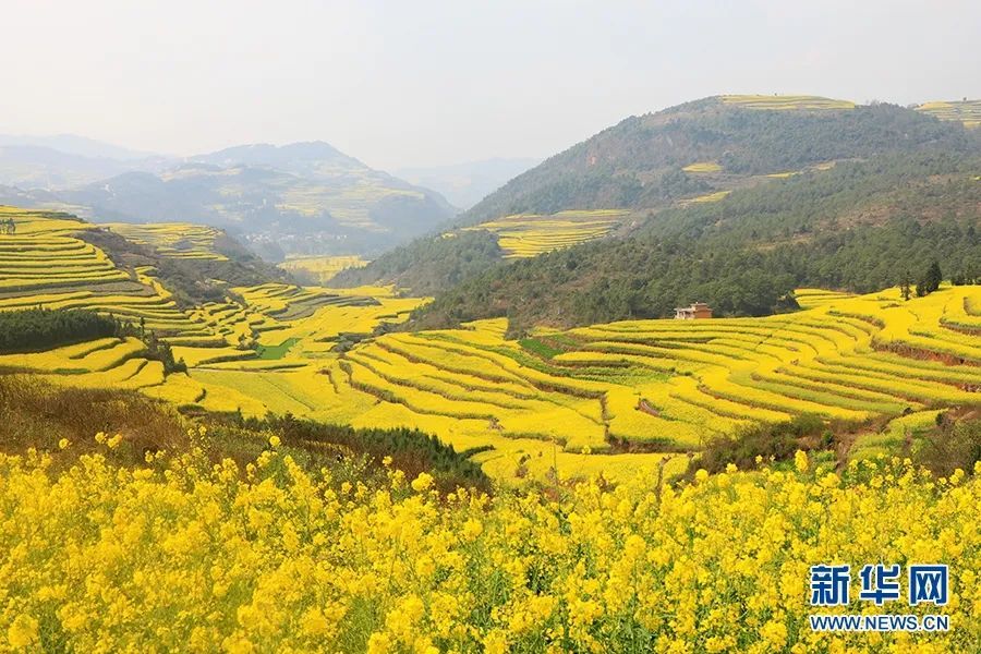 今日宾川风味云南清明时节品芳春