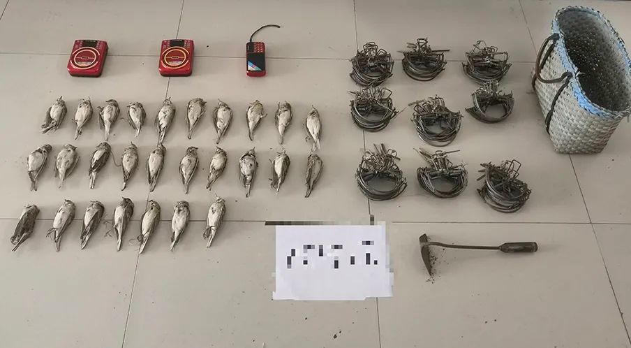 二人先后来到新军屯镇某村西北侧野地内,高某旺将90个捕鸟夹子和3个诱