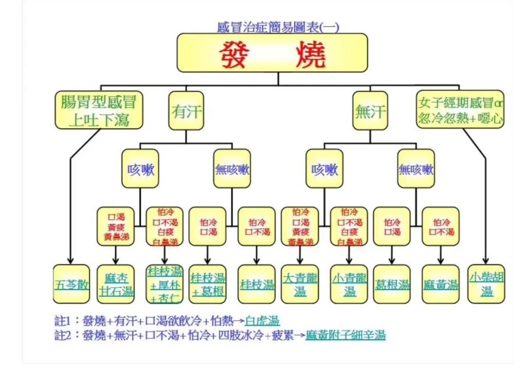 倪海廈治療感冒發燒精要總結16大經方_騰訊新聞