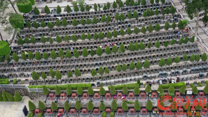 4月4日,广州市火葬场,银河公墓等主要祭扫场所均预约满额,达到峰值.