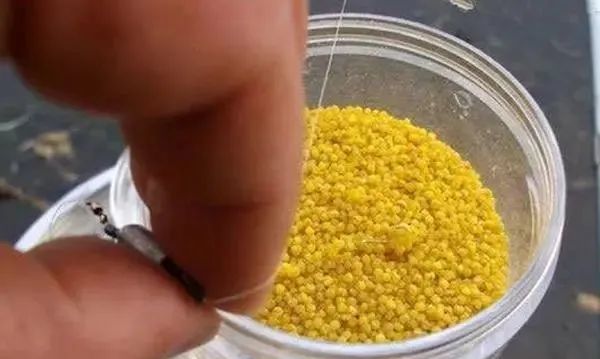 春季钓鲫鱼,试试这种方法,小鱼不闹窝,上钩全是大板鲫!