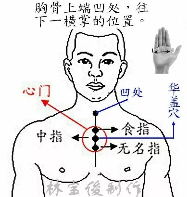 慈心觉者如何用华盖穴念佛脑场作业念佛三十分钟