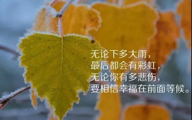 收集非常精闢的人生哲理句子值得一看