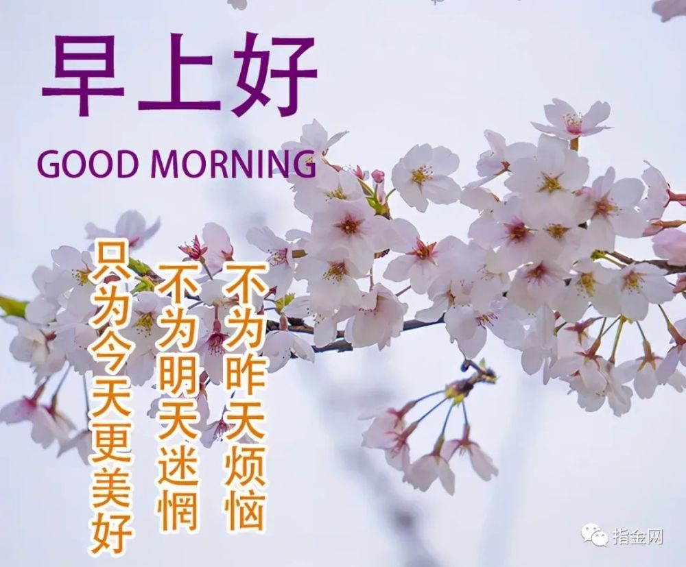 一句早上好暖心!