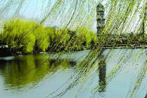 配乐诗朗诵雁之希诵读白瑞勤作品一缕春风总期01044