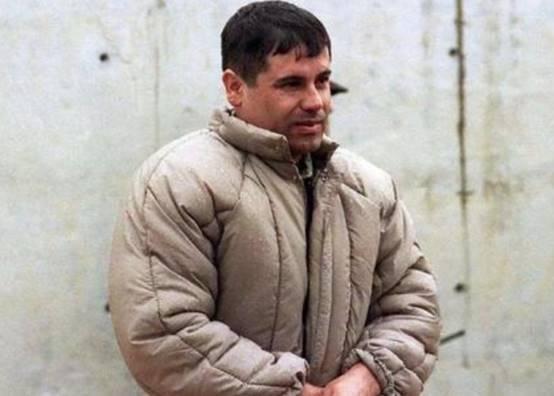 屋内堆满黄金,美女如云,珍禽异兽遍地走|毒品|乔奎恩·古兹曼|毒枭