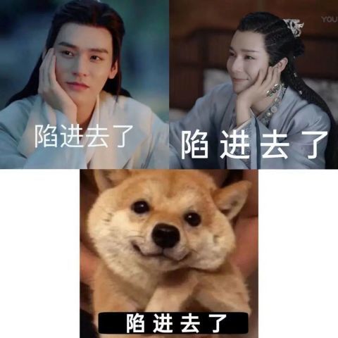 以及邪魅男配蝎王看自己义父的眼神,都被人戏称"陷进去了"