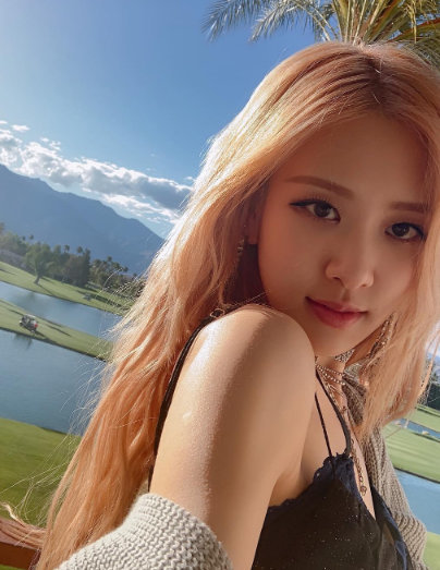 rose新歌gonemv上线大家觉得怎么样