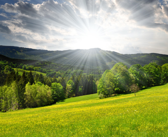 属相蛇之人热爱大自然,很会享福同时也十分能吃苦,到了4月上旬,先是