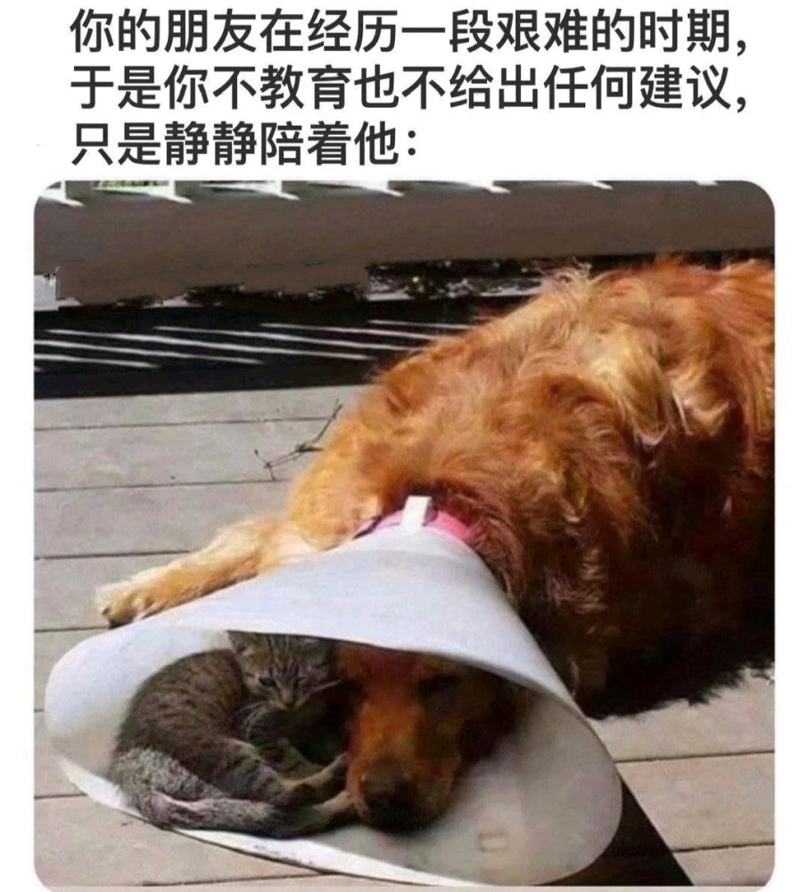 搞笑趣图我的脑洞vs我的创作