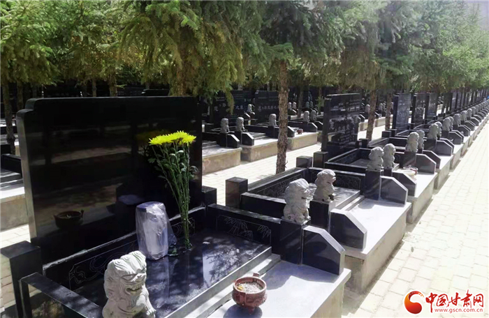 兰州一棵树一份愿望绿色殡葬的尝试之路