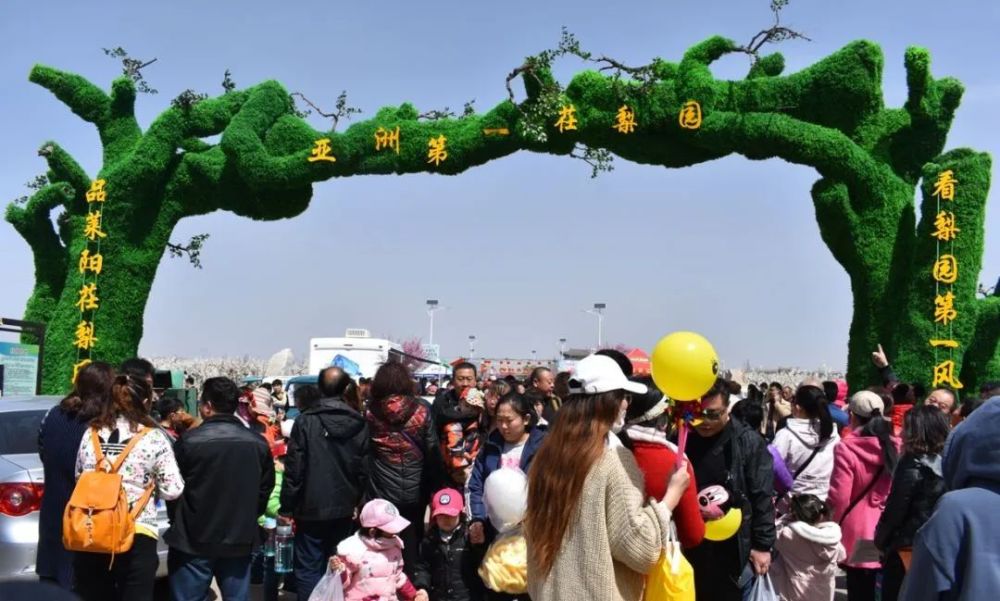 惊艳2021莱阳第三十届浪漫梨花节4月10日盛大开幕门票大放送