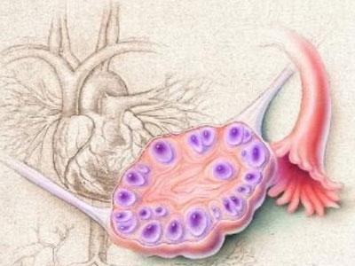 做父母!双侧卵巢呈多囊样改变"妈咪陪我"-第1张图片-木瓜博客