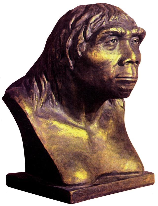 就比如我国专家在北京市周口店遗址发现的山顶洞人就足以证明这件事情