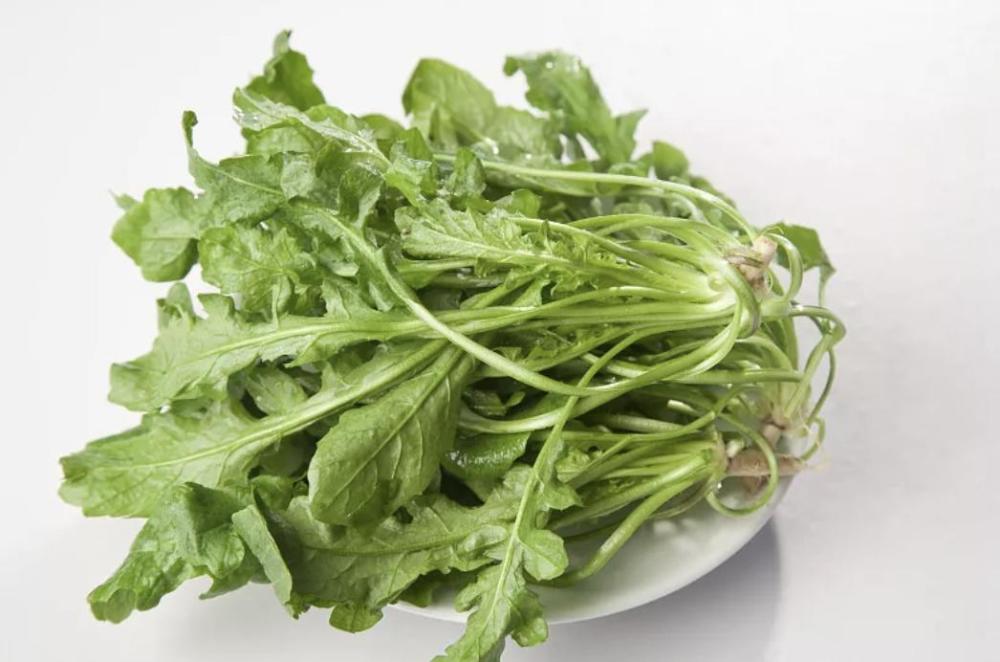 它是天然的护肝菜做法特简单养肝护肝肝脏越来越健康