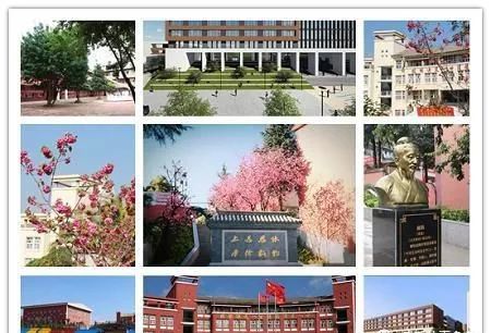 云南大专排行_云南省:15所实力较强的专科院校排行