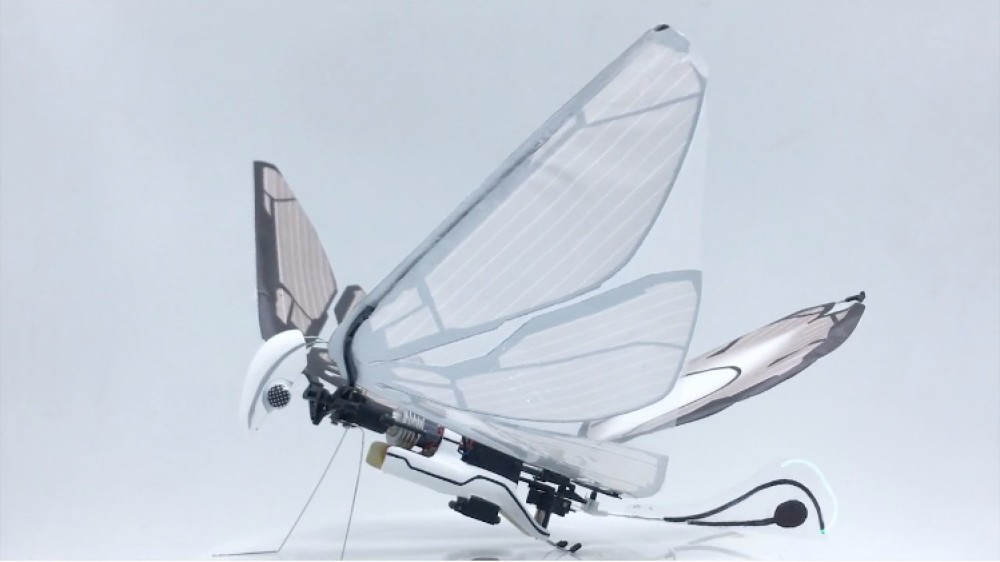世界最小无人机苍蝇图片