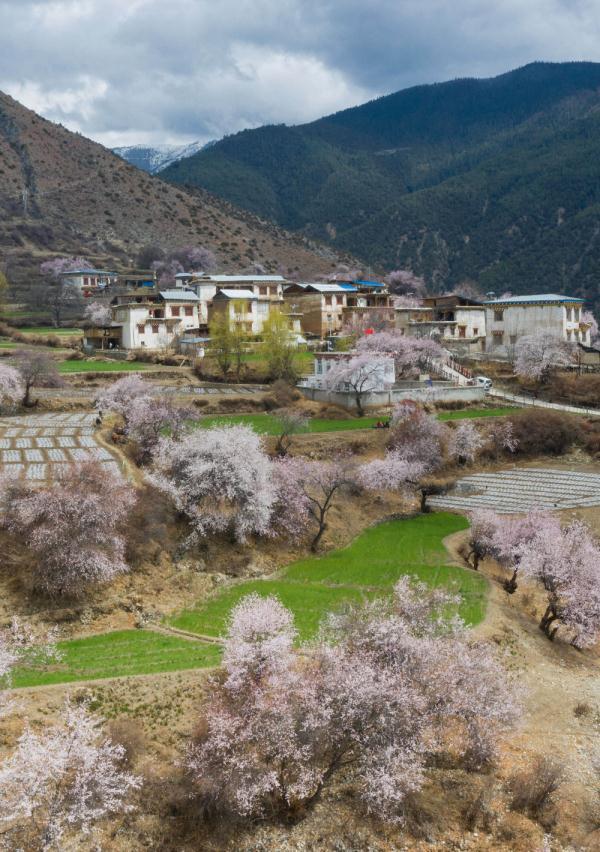 4月4日在得荣县徐龙乡徐堆村拍摄的景色.