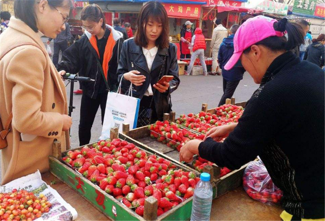"咱们家穷,别买了"5岁孙女担心没钱上幼儿园,不让奶奶买草莓