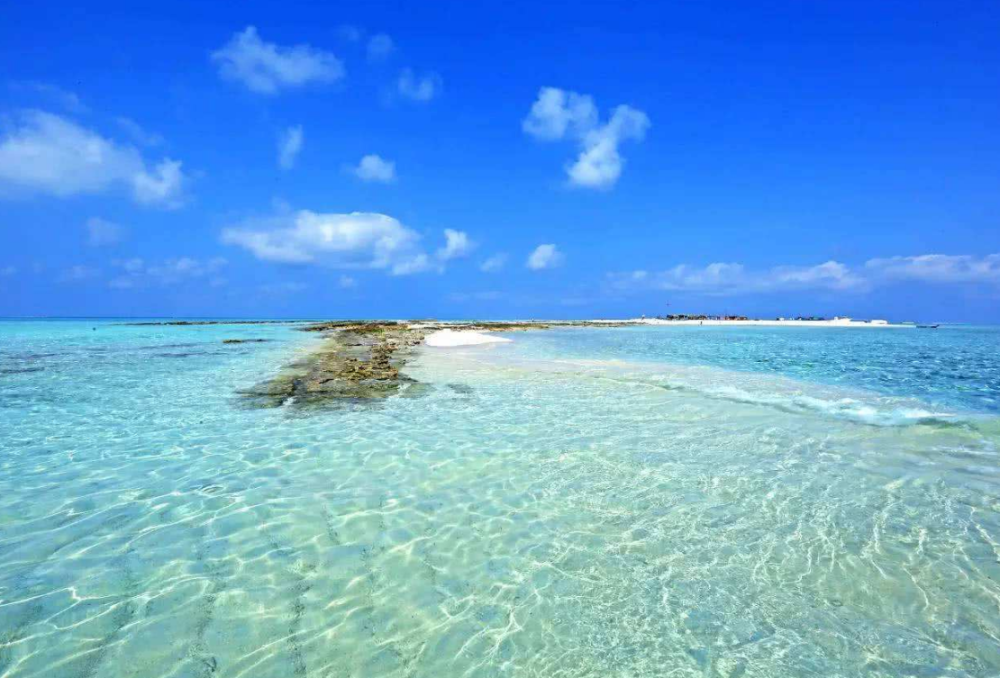 大金排行_＂2021年度全球创新百强”榜单揭晓,大金空调优异综合实力荣誉获选(2)