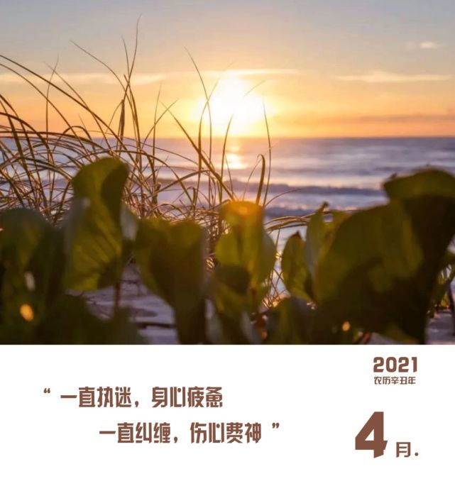 【每日心语】学会释怀!致自己