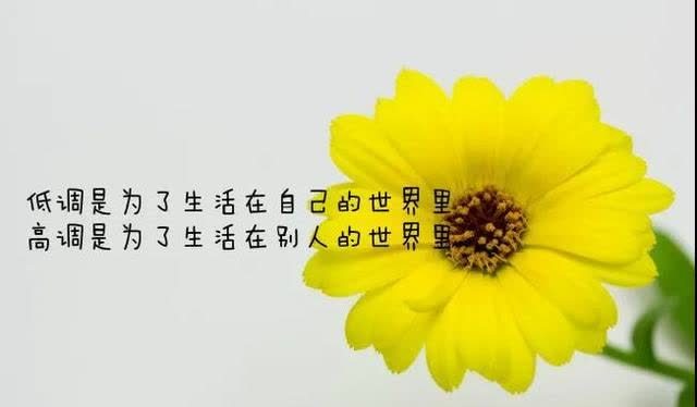 寫給心累的自己_累念積慮,為心走使_心有點累但還是很愛她的說說