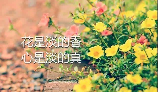 累念積慮,為心走使_心有點累但還是很愛她的說說_寫給心累的自己