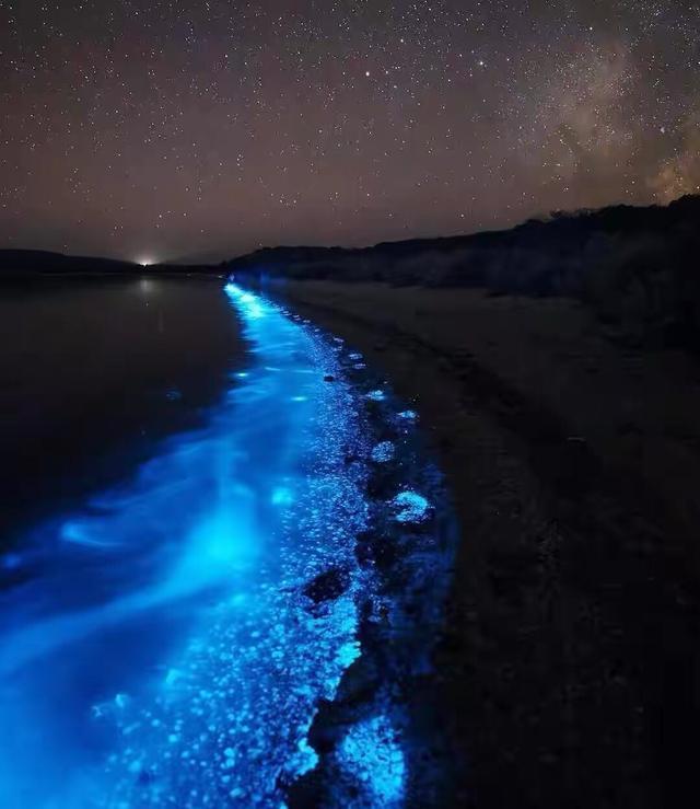 龙凤头海滨浴场,东甲岛,流水码头,东庠岛等地也是探臂瞬间布满蓝色