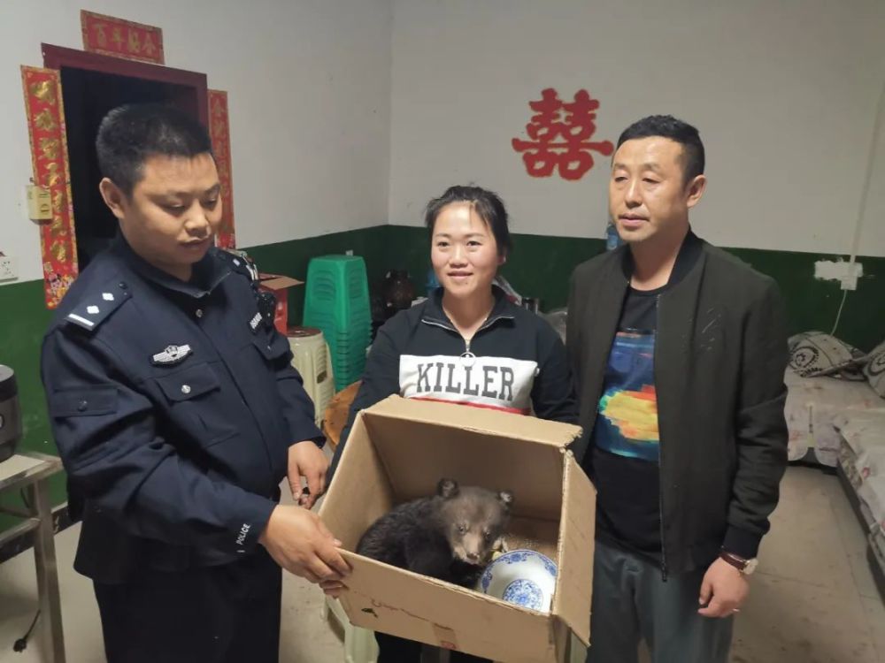 4月3日,绥江县中城派出所接到中城镇农业村村民凌女士的电话.