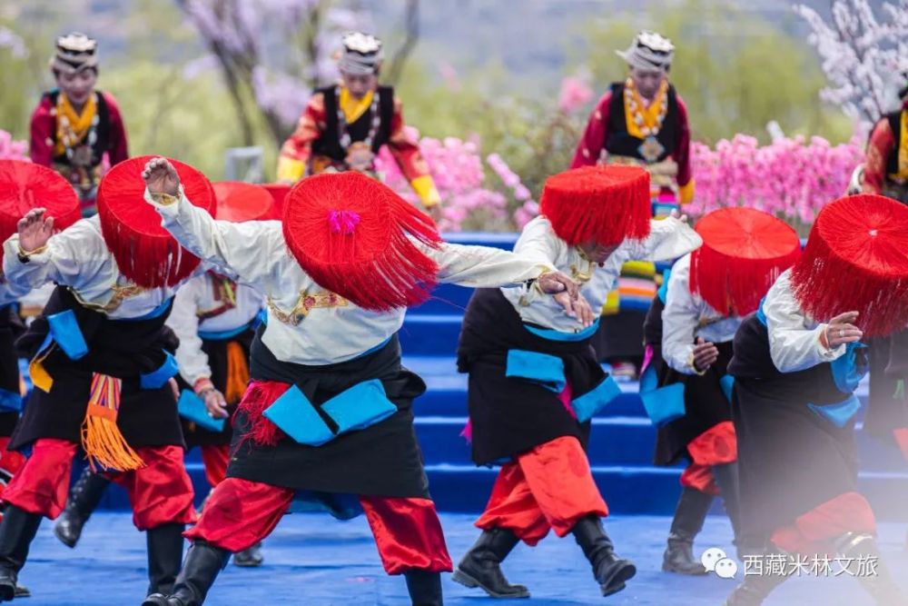 2021年西藏林芝市第十九届桃花旅游文化节米林县分会场活动开幕式精彩