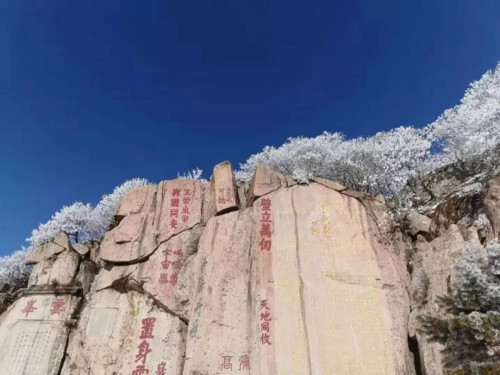 黑泰山带节奏自带流量呦呦鹿鸣似的自怨自艾何时能了