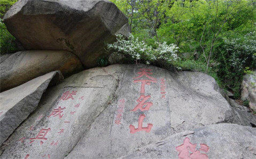 黑泰山带节奏自带流量呦呦鹿鸣似的自怨自艾何时能了