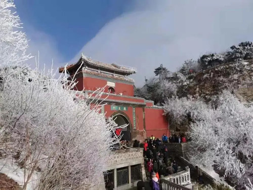 黑泰山带节奏自带流量呦呦鹿鸣似的自怨自艾何时能了