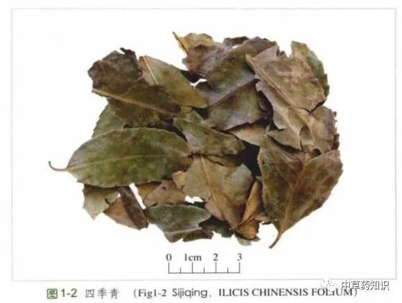 四季青血清 腾讯网