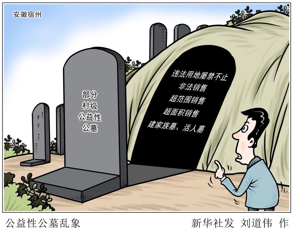 图表漫画新华视点公益性公墓乱象