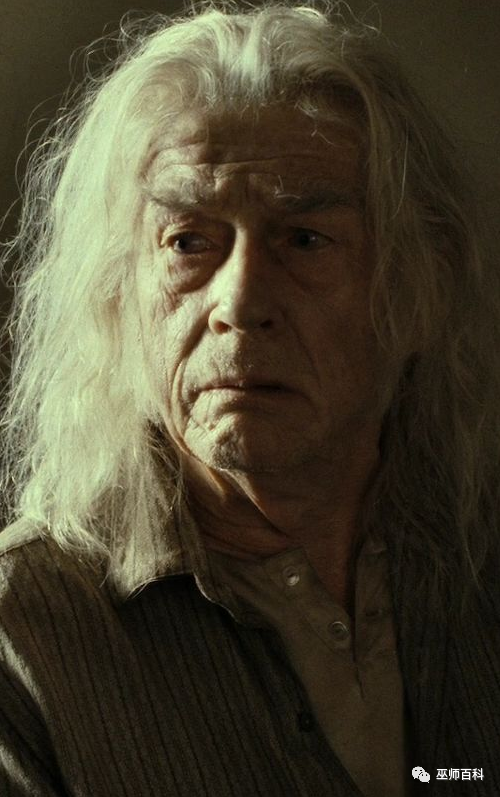 加里克·奥利凡德(garrick ollivander)欧洲三大著名魔杖制造者之一.