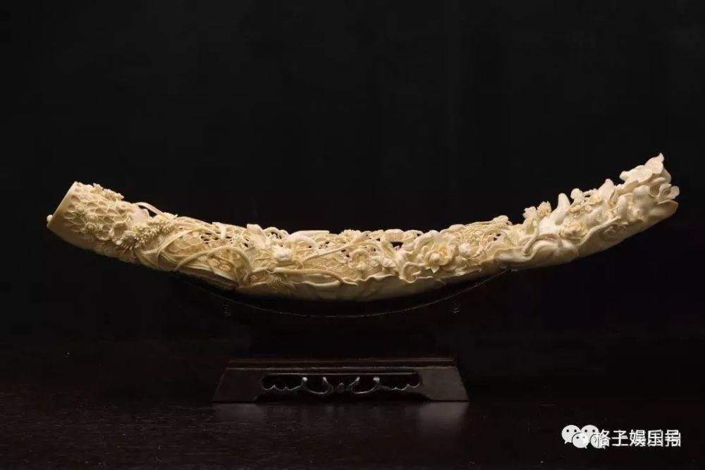 民间鬼故事血象牙自古就是没有买卖就没有杀戮