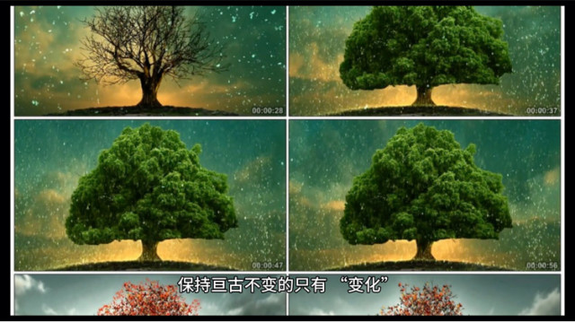 亘古不变的变化以不变应万变