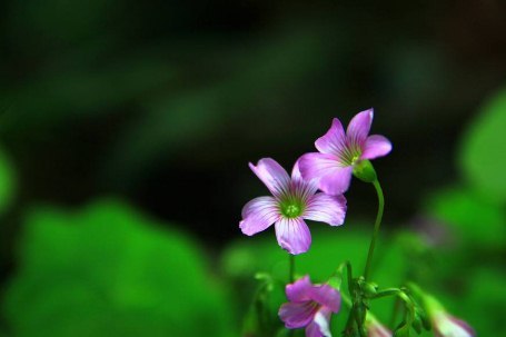 春暖花開的朋友圈暖心的說說