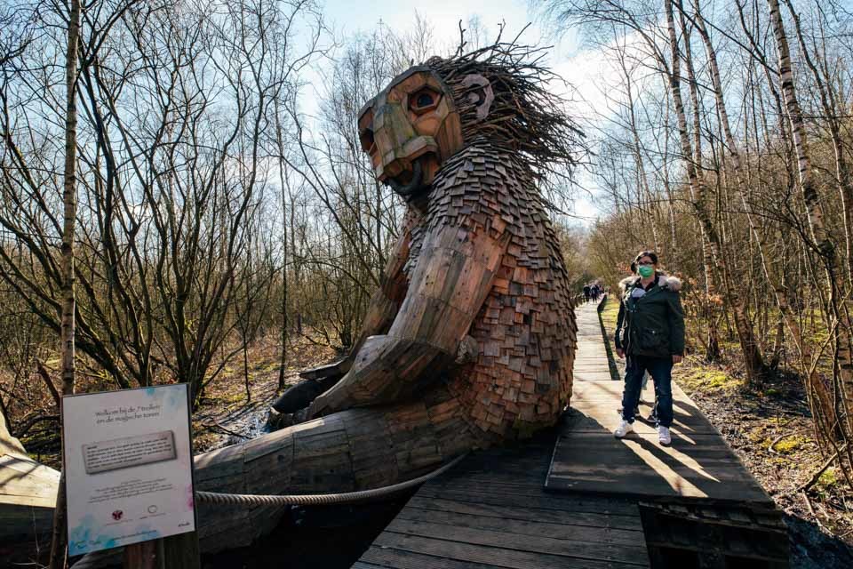 森林里的七个"巨人"