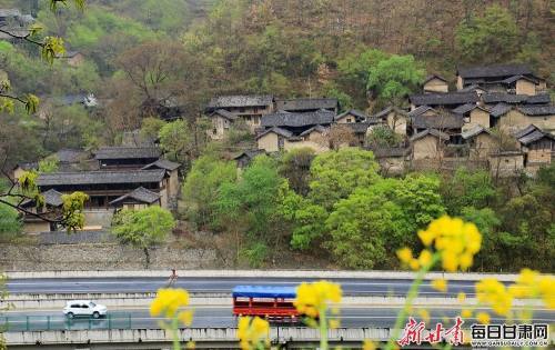 感受生态之美～|油菜花|陇南|武都区|乡村振兴|角弓镇
