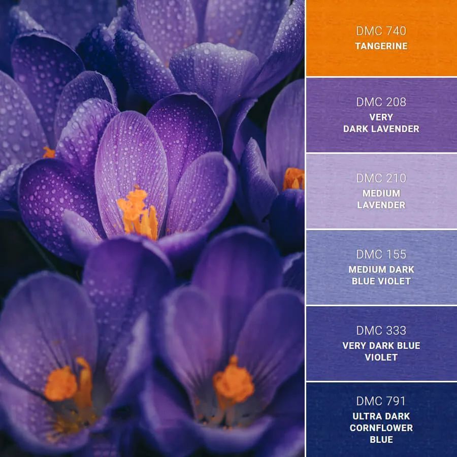 实用色彩搭配方案～把握美感_腾讯新闻