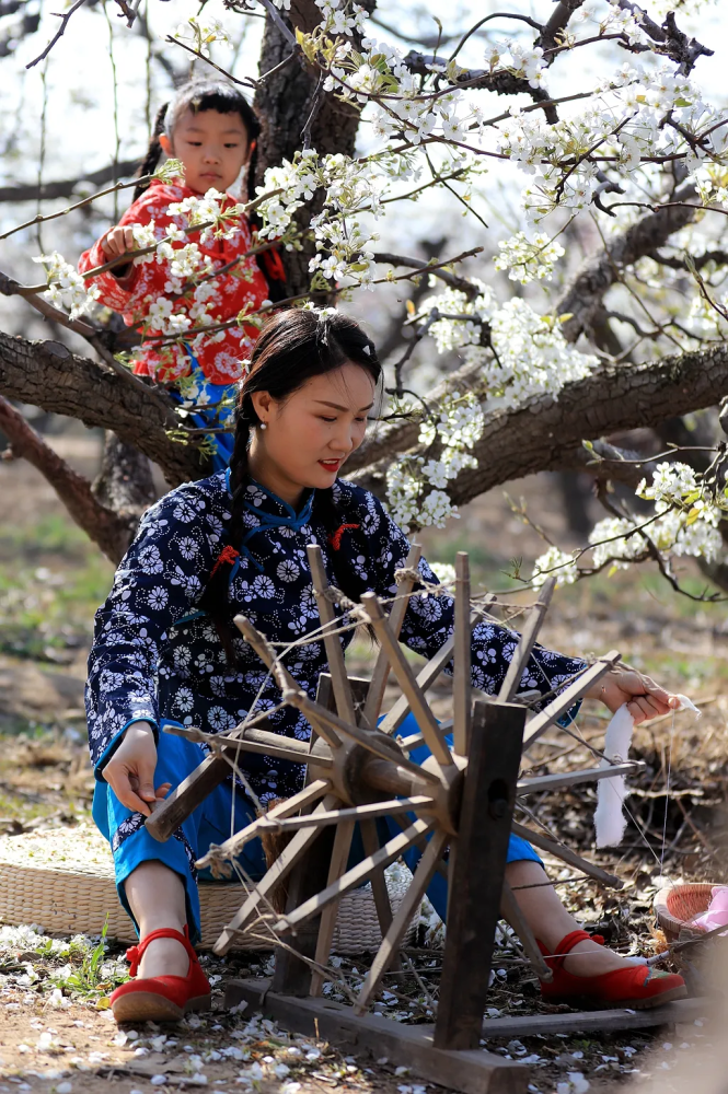 我一腔衷肠,小村一切都依然,树下空荡荡,开满梨花的树下,纺车不再响